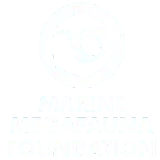 圆形标志内由鲸、鲨与海龟抽象图形组成，下面大写字母写着 MARINE MEGAFAUNA FOUNDATION（海洋巨型动物基金会）