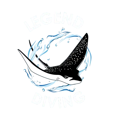 Nusa Penida潜水主题图案，白点蝠鲼在蓝色水花环绕中游动，顶部文字“LEGEND”底部“DIVING”显示潜水活动品牌标志。