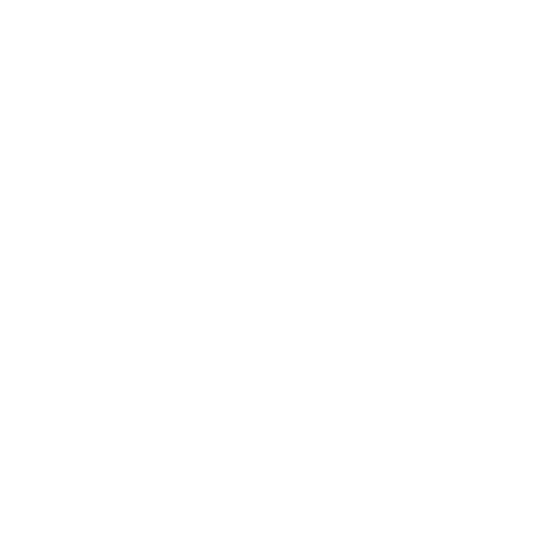 白色圆形标志内有蝠鲼、鲸和海龟三个海洋大型生物的简化剪影，下方大字写着 "MARINE MEGAFAUNA FOUNDATION"。