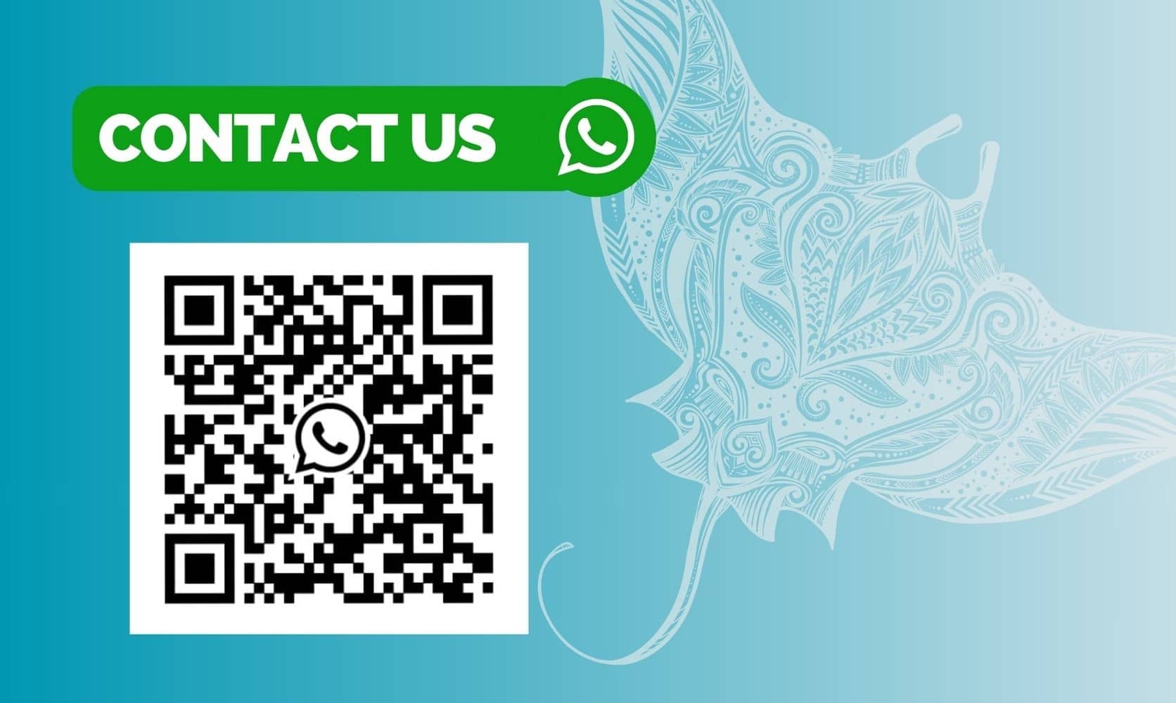 绿色横幅“CONTACT US”和WhatsApp图标，左下方大二维码，右侧淡蓝色装饰性魔鬼鱼图案的联系页面横幅。