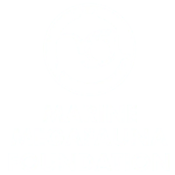 圆形标志内由鲸、鲨与海龟抽象图形组成，下面大写字母写着 MARINE MEGAFAUNA FOUNDATION（海洋巨型动物基金会）