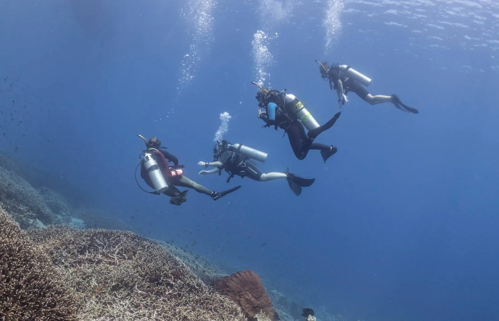 四名潜水员在努沙·彭尼达（Nusa Penida）海域浮游观察珊瑚礁，气泡上升、水下能见度高。